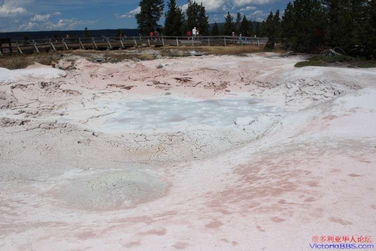 yellowstone 517.JPG
