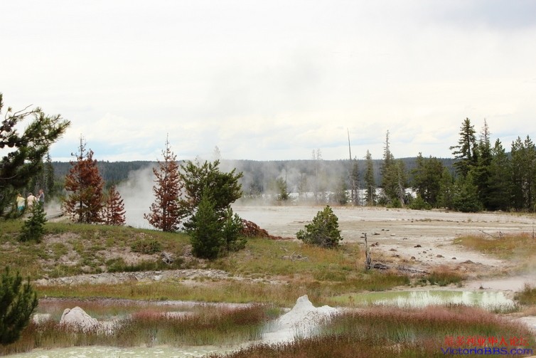 yellowstone 763.JPG