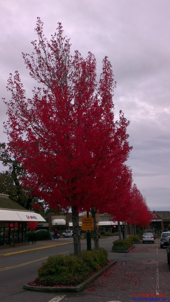 IMAG0879 (577x1024).jpg